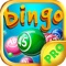 Bingo Sunday PRO - Play Online Casino and Number Card Game for FREE !