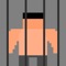 Prison War is an action/adventure game where your primary objective is to survive and defeat all enemies each level