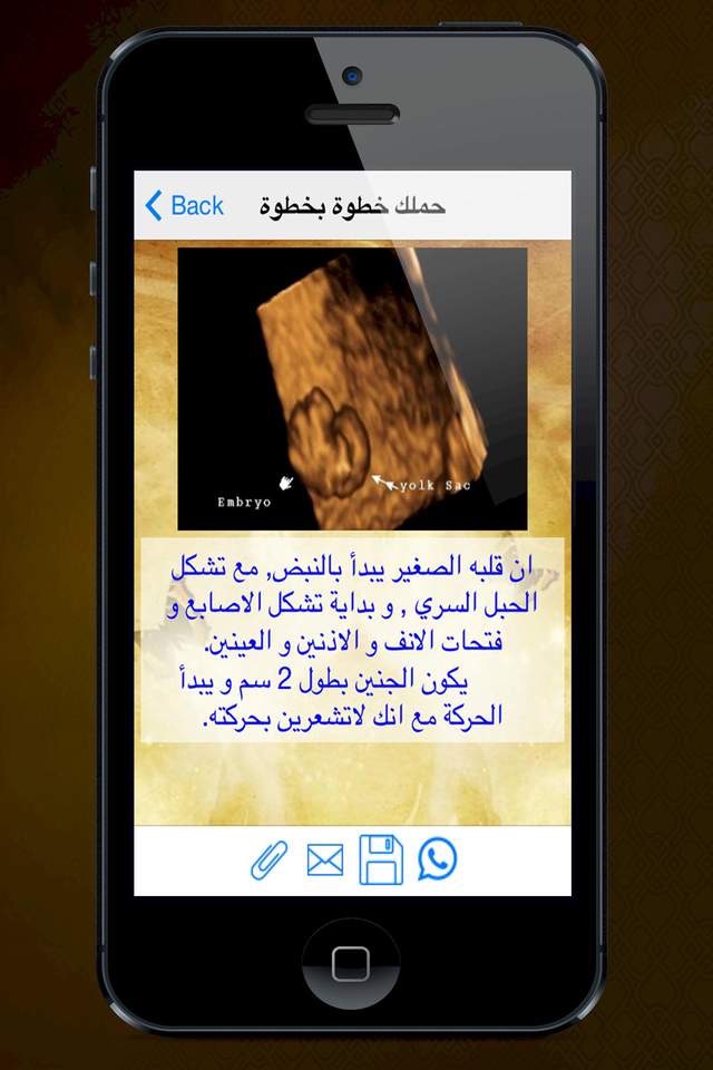الشملولة تطبيق المرأة العربية screenshot 4