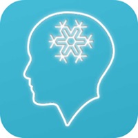 mémoire de glace pour PC