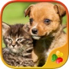 Cute Pets - Real Dogs and Cats Picture Puzzle Games for kids Cute Pets - Real Dogs and Cats Picture Puzzle Games for kids