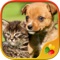 Cute Pets - Real Dogs and Cats Picture Puzzle Games for kids