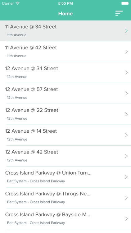 NYC Cameras