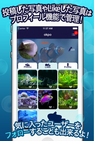 AquaSnap - 熱帯魚水槽やテラリウムの写真共有アプリ screenshot 4