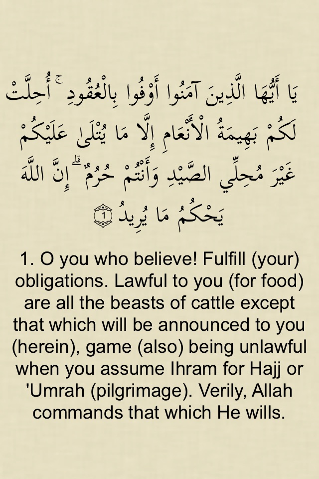 The Glorious Quran screenshot 4