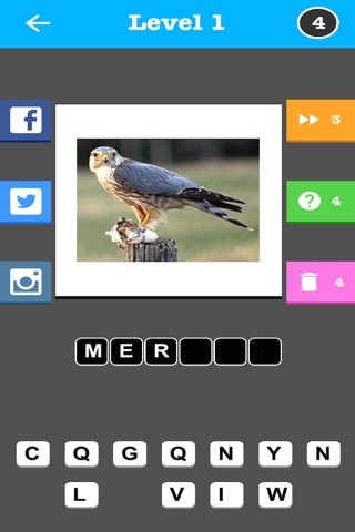 Bird Trivia - Word Quiz Game screenshot 3