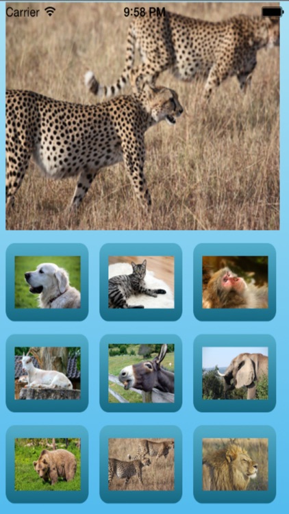 Animal sound effects (mammals crying) screenshot-3