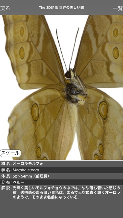 The 3D昆虫 II screenshot1