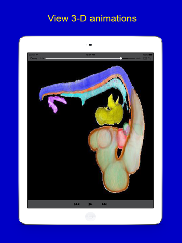 Dimensional Embryology screenshot 4