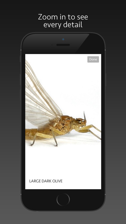 Match A Hatch Eastern U.S. screenshot-4