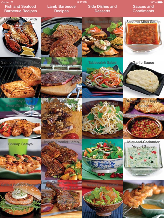 Barbecue & Grilling Cookbook for iPad