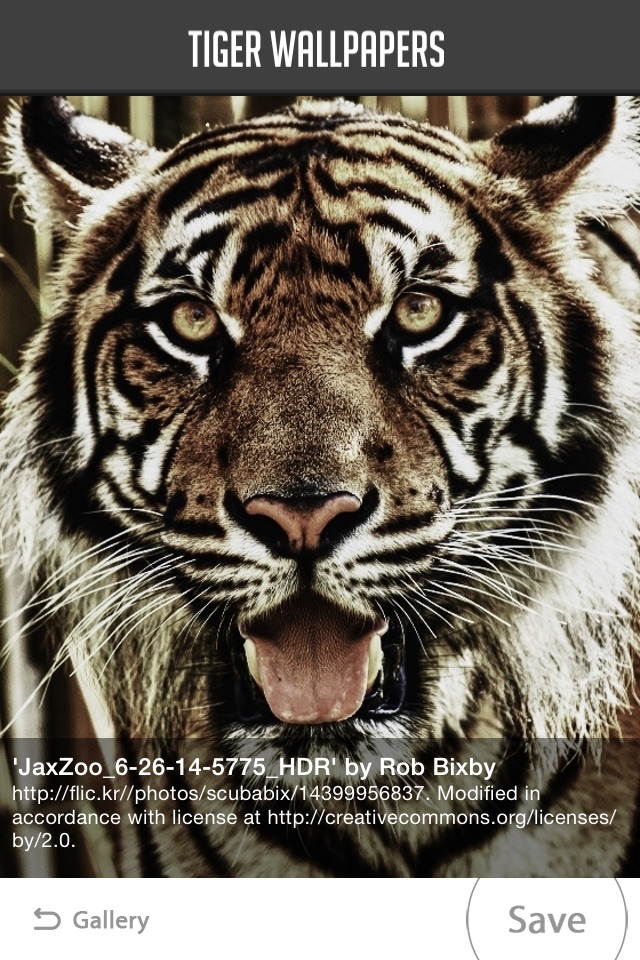 Tiger Wallpaper screenshot 4