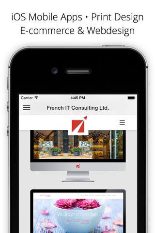 French IT Consulting Ltd. • Innovative solutions for your Business screenshot 2