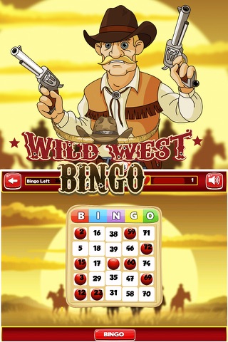 Bingo Luck Hd Pro screenshot 3