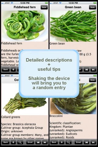 The Vegetables Encyclopedia screenshot 2