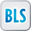 Build Lasting Success (BLS)