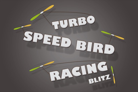 Turbo Speed Bird Racing screenshot 2