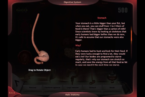 Evolutionary Anatomy screenshot 3