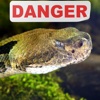 Deadly and Dangerous: North American wildlife