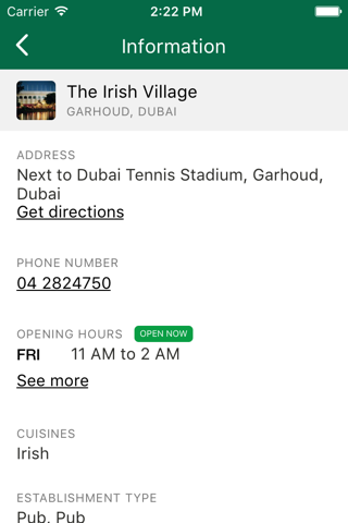 The Irish Village screenshot 4