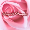 Rose Of Bengal, Walsall