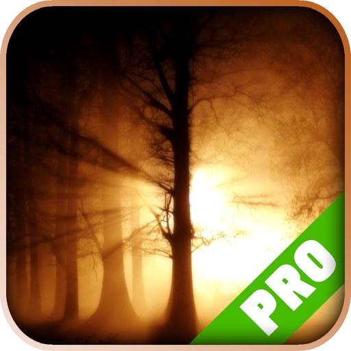 Pro Game - Slender: The Arrival - Game Guide Version icon