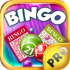 Bingo PRO - Play Online Casino and Number Card Game for FREE ! - Zoolander Edition