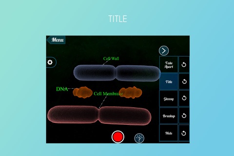 Dividing Bacterium 3D screenshot 3