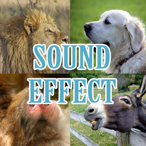 Animal sound effects (mammals crying) Icon