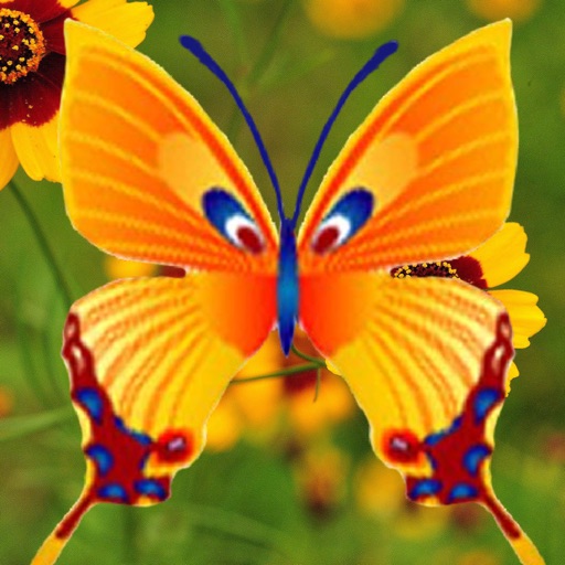 Butterfly Shoot iOS App