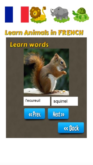 Learn Animals in French Language(圖2)-速報App