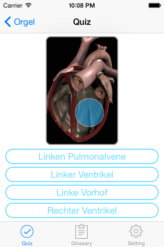 Anatomie Quiz & Glossar screenshot 4