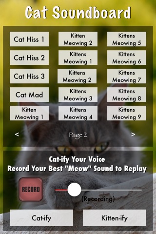 Cat Soundboard with Cat-ify Voice Changer (Includes Kitten Meows and Purring) screenshot 2