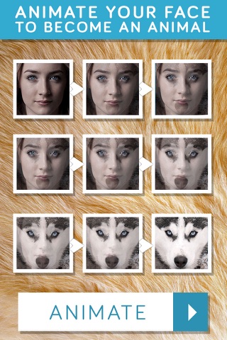 InstaAnimal Pro- facetune your inner animal screenshot 4