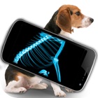 Simulator X-Ray Pet