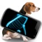 This app is intended for entertainment purposes only and does not provide true X-rays of Pet