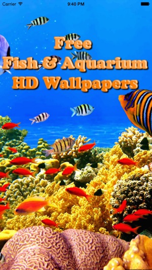 Aquarium Wallpapers-Fish Walls(圖1)-速報App