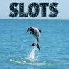 Hector's Dolphin Slots - FREE Slot Game Instant Winnings Treasure of Pyramids