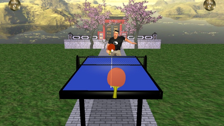 Zen Table Tennis