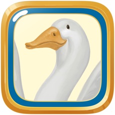Activities of Game of the goose HD