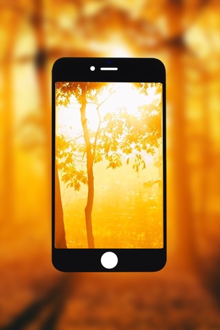 Cool Summer Wallpapers & Backgrounds HD screenshot 2