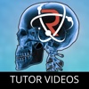 Revision App - Tutor Videos & Revision Guides: GCSE, A-Level & 11 Plus App