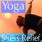 A Healing Yoga Therapy practice for all skill levels