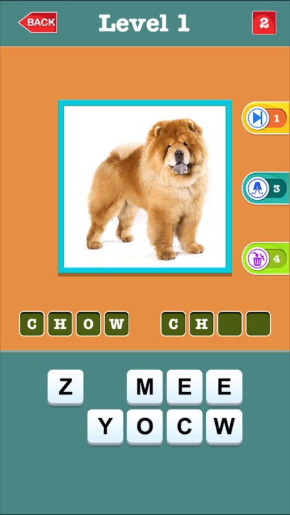Dog Breeds Quiz For Animal Lovers - Guess Most Popular Small,Hound & Large Dogs Breed Names