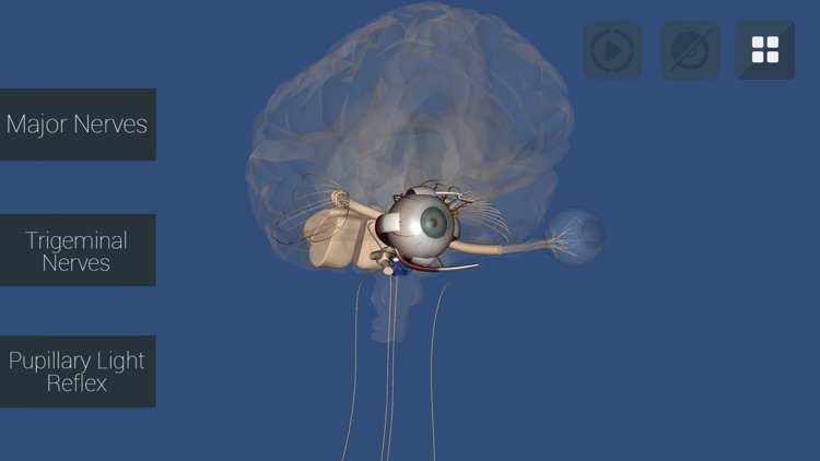 Anu Reality EyeSim Mobile