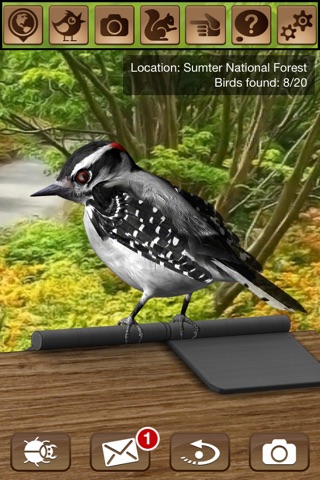FeederVu - Birds of North America in 3D screenshot 2