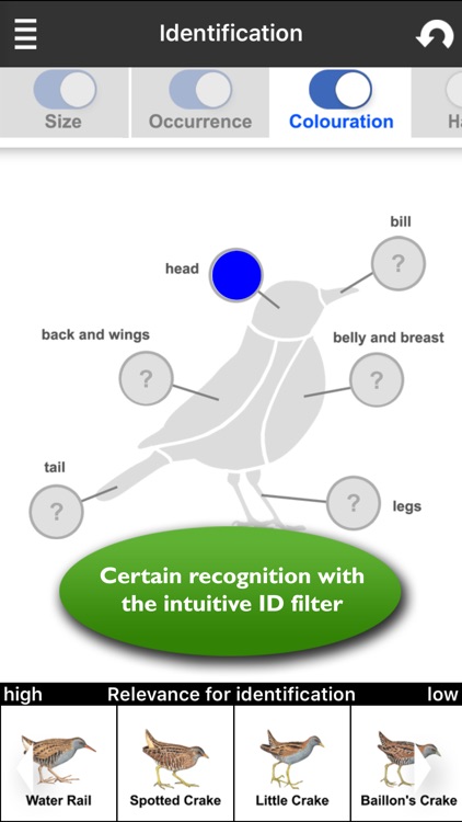 Birds of Europe - identification, distribution, voices