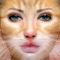 Animal Face Animation - Funny Movie Maker With Blend,Morph & Transform Effect