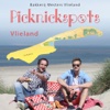 Picknick Vlieland