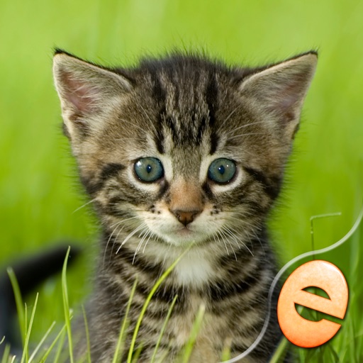 Jigsaw Wonder Kittens Puzzles for Kids Free Icon
